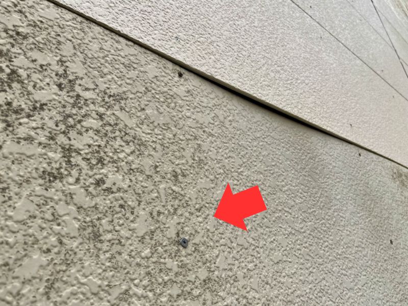 外壁の黒ずみはカビ？汚れとの違いと正しい対処法