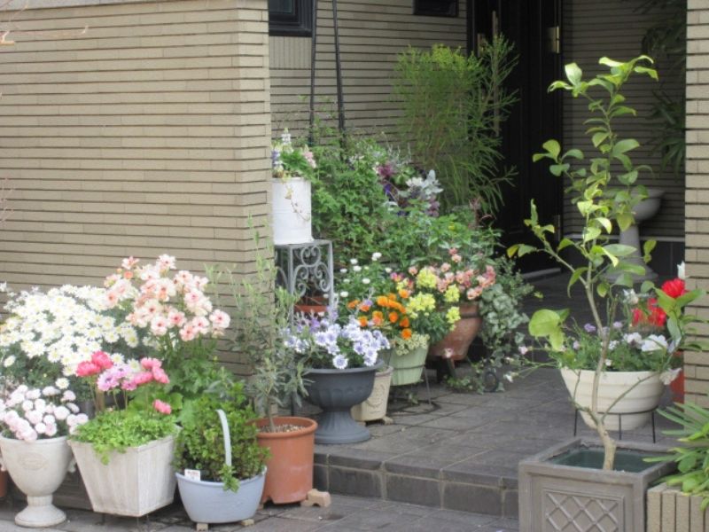 外壁塗装で知っておきたい樹木の影響とは？お庭の緑と外壁を守るポイント